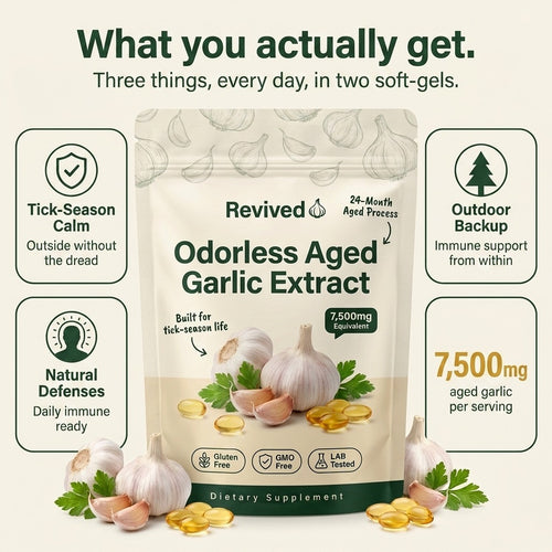 Revived Aged Garlic